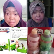 Minuman jus sarang burung walit DNA Global