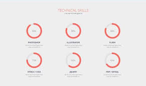 displaying user skills with pie chart in percentage user