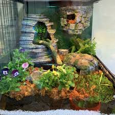 Reptile Enclosure Gecko Terrarium Leopard Gecko Terrarium Gecko Vivarium
