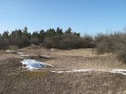 Od prvního titulu mistra světa v roce 2015 se jen jednou vracel ze světového šampionátu bez medaile a formu potvrdil i v kvalifikaci. Bohouskova Skalka Wikipedie