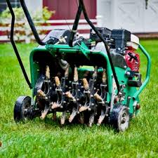 Renting an aerator vs hiring pros. 11 Best Lawn Aerators And How To Aerate Your Lawn And Garden