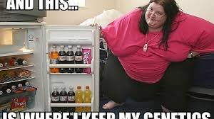 I M Only Fat Because Of Genetics Imgur