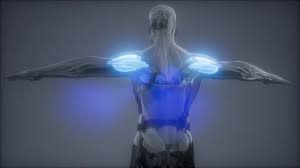 Learn vocabulary, terms and more with flashcards, games and other study tools. Deltoid Visible Muscle Anatomy Map Stock Video Pond5