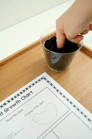 Plant Tracking Sheet For Kids Fantastic Fun Learning