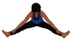 What does a sartorius muscle sprain feel like? Adductor Stretches