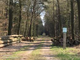 pin auf wanderungen
