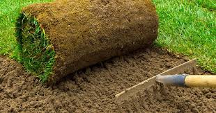 Follow our maintenance guides to be sure to keep your lawn healthy. A Guide To Maintaining Your Lawn All Year Round Lovethegarden