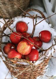 Decoration De Noel Exterieure Esprit Nature 20 Idees Originales Et Simples Decorations De Noel Naturelles Deco Noel Nature Vrai Sapin De Noel