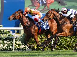 Defending Champion Cool Day Takes On Argentine Horse Of The Year Mirinaque  In Gran Premio Carlos Pellegrini