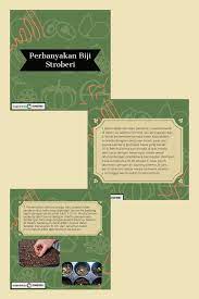 Perbanyakan Biji Stroberi Stroberi Benih Kotak Kayu