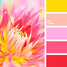 We did not find results for: Red And Yellow Color Palette Ideas