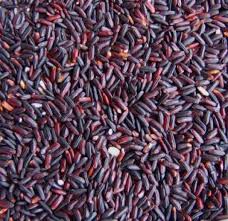 We did not find results for: Malay Black Rice Buy Malay Black Rice Malaysia From Maju Gemilang Resources
