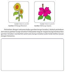 Pada soal kelas 4 ini temanya adalah indahnya keberagaman dengan subtemanya adalah keberagaman budaya bangsaku. Assalamualaikum Hari Ini Kita Belajar Tema Kelas 6 Perbedaan Bunga Matahari Dan Bunga Sepatu Ok Brainly Co Id