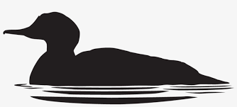 Check your email for your downloadable coloring sheet. Graphic Royalty Free Download Loon Drawing Common Merganser All About Birds 1024x1024 Png Download Pngkit