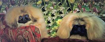 The Wolf S Closest Relatives Might Surprise You