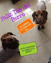 Jun 05, 2021 · en el día mundial del medio ambiente, te mostramos algunos de los proyectos que luchan por cuidar y restaurar nuestro planeta. Feliz Dia Mundial Del Perro Dona Escuadron Salchicha Facebook