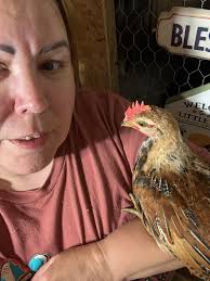 Looking for a chicken coop/kennel (without run) if anyone has an unused one  kicking around I could purchase.