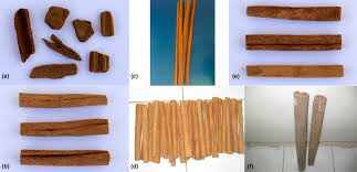 Cinnamomum burmannii is an evergreen shrub or small tree growing up to 20 metres tall. Cinnamon And Cassia Nomenclature Confusion A Challenge To The Applicability Of Clinical Data Oketch Rabah 2018 Clinical Pharmacology Amp Therapeutics Wiley Online Library