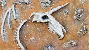 Maybe you would like to learn more about one of these? Ternyata Hewan Unicorn Memang Pernah Ada Berkeliaran Di Bumi Banjarmasin Post