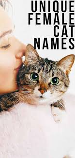 Maybe choose the name of a bird with black. Unique Female Cat Names The Best Original Girl Kitty Names