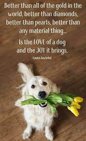 Top 20 International Dog Day Quotes Dog Wallpapers Dog Quotes Dog Quotes International Dog Day Dog Quotes Love