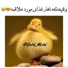 جوک خنده دار و اس ام اس باحال 96