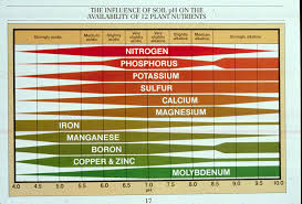 Acid Soil Problems And Strategies