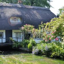 We did not find results for: Cottage Garden Series Cottage Garden Plants Perennials