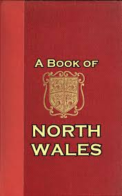 The Project Gutenberg Ebook Of A Book Of North Wales By S Baring Gould On saturday night, hundreds of demonstrators walked through central copenhagen in. ebook of a book of north wales