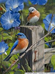 Bird In Hand Marketplace Pin By Fa Moung On Birds Birds Painting Bird Art Bird Pictures