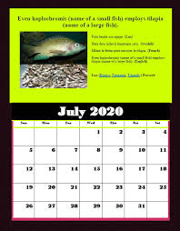 We did not find results for: July 2020 Even Haplochromis Name Of A Small Fish Employs Tilapia Name Of A Large Fish African Proverbs Sayings And Stories