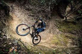 Perdido En El Bosque Alpes Bicicletas De Montana Ciclismo