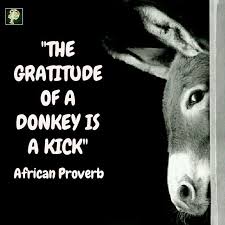 In The Swahili Language They Say Asante Ya Punda Ni Mateke It Literally Means The Thanks Of A Donkey Is A Ki Swahili Quotes African Proverb African Quotes