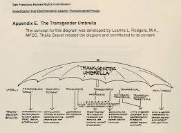 Release Notes The Formal Language Of Sexuality And Gender Identity Oxford English Dictionary