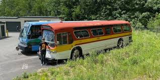 Image result for Green 1968 Fleet