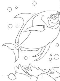 If you've got arty kids with a vibrant imagination, have a browse through our free coloring pages, download all your favorites, and take your markers and crayons out for a spin. Fish 3 Coloring Page