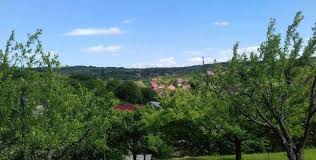 La peștera ferice se poate ajunge pe o potecă, prin padure, ce porneste din satul ferice. 5 Locuri Din Bihor Pe Care Poate Nu Le Ètiai