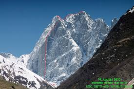 Image result for Kedrostis abdallai