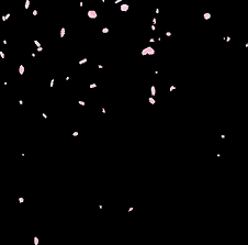 Did you first load the sakura petals and after other accessories? Sakura Petals Gifs Get The Best Gif On Gifer