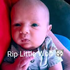 Tammy Schweigert's Instagram, Twitter & Facebook