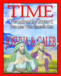 Pd Bible Grade 5 Lesson 8 Joshua And Caleb Are Faithful Tsg Diagram Quizlet