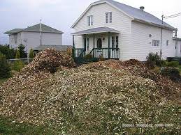 Wood Chip Mulch Organic Mulch Usa Mulching With Ramial Chipped Wood Wood Chip Mulch Mulching Organic Mulch
