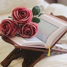 Pin By رغــــــد On بطـاقـات صبـاحيـة واسـلاميـة Quran Book Quran Wallpaper Quran