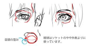 いちあっぷ講座さんのツイート リアル系の顔の描き方 目 パーツ だけでなく 眼球周辺の構造を理解し描きこむことで 全体のリアルな説得力を増すことができますよ 基本から徹底解説 正面顔と横顔の描き方 いちあっぷ講座 https t co enig3eoqqg 液タブ