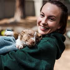 PET NETWORK HUMANE SOCIETY