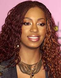 But braids, these days, are a. Beautiful Human Hair Braids Human Braiding Hair Micro Braids Hairstyles Micro Braids Human Hair