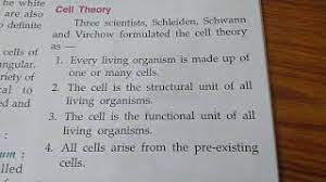 Check spelling or type a new query. Cell Theory Class 6 Biology Youtube