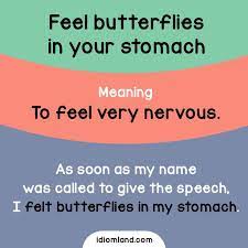 For example, butterflies in my stomach would literally be butterflies in a person's stomach (which would be absurd!) but the teacher idioms. Have You Ever Had Butterflies In Your Stomach English Phrases Idioms English Vocabulary Words Learn English