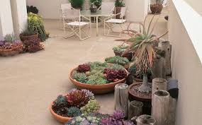 Terrassenbepflanzung Tipps So Gestalten Sie Eine Grune Wohlfuhloase Im Freien Garten Sukkulenten Pflanzen Zimmerpflanzen Ideen