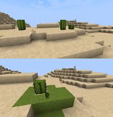 Cactus green dye is made by placing cactus in a furnace. If The Cactus Color Was Changed To Match The Sand Better It Would Not Only Make Deserts Look A Lot Nicer But Also Make Them Match Well With The Green Dye